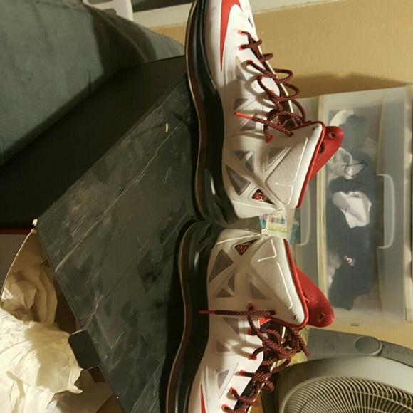 Lebrons - Picture 2 of 4