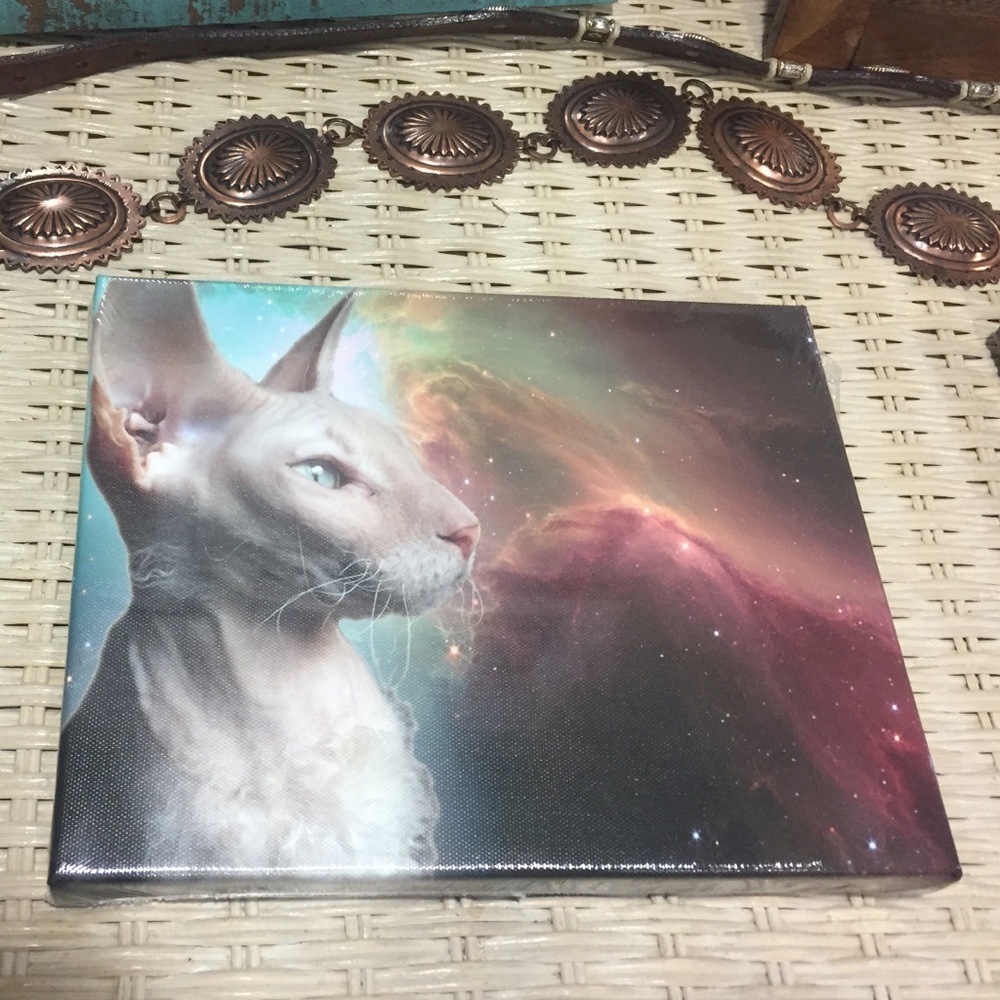 My own cat design on canvas