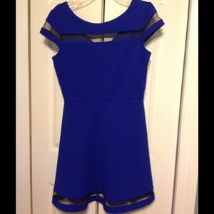 Cobalt Blue Cocktail Dress