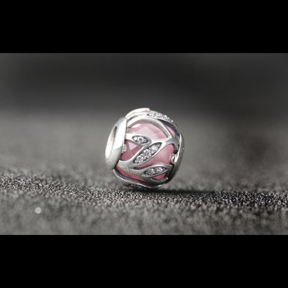 Pink Nature,s Radiance charms
