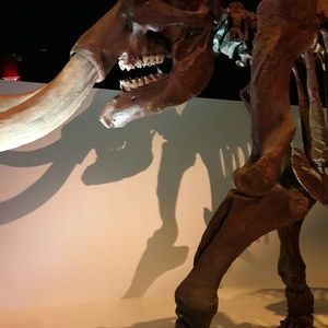 Meet your Posher, Corinna