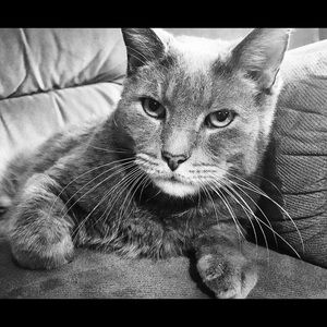 Meet your Posher, Tina