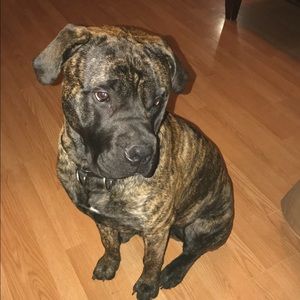 Meet your Posher, Julia