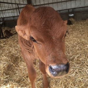 Meet your Posher, Jamie