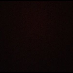 Meet your Posher, Daniella