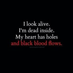 Meet your Posher, Chester