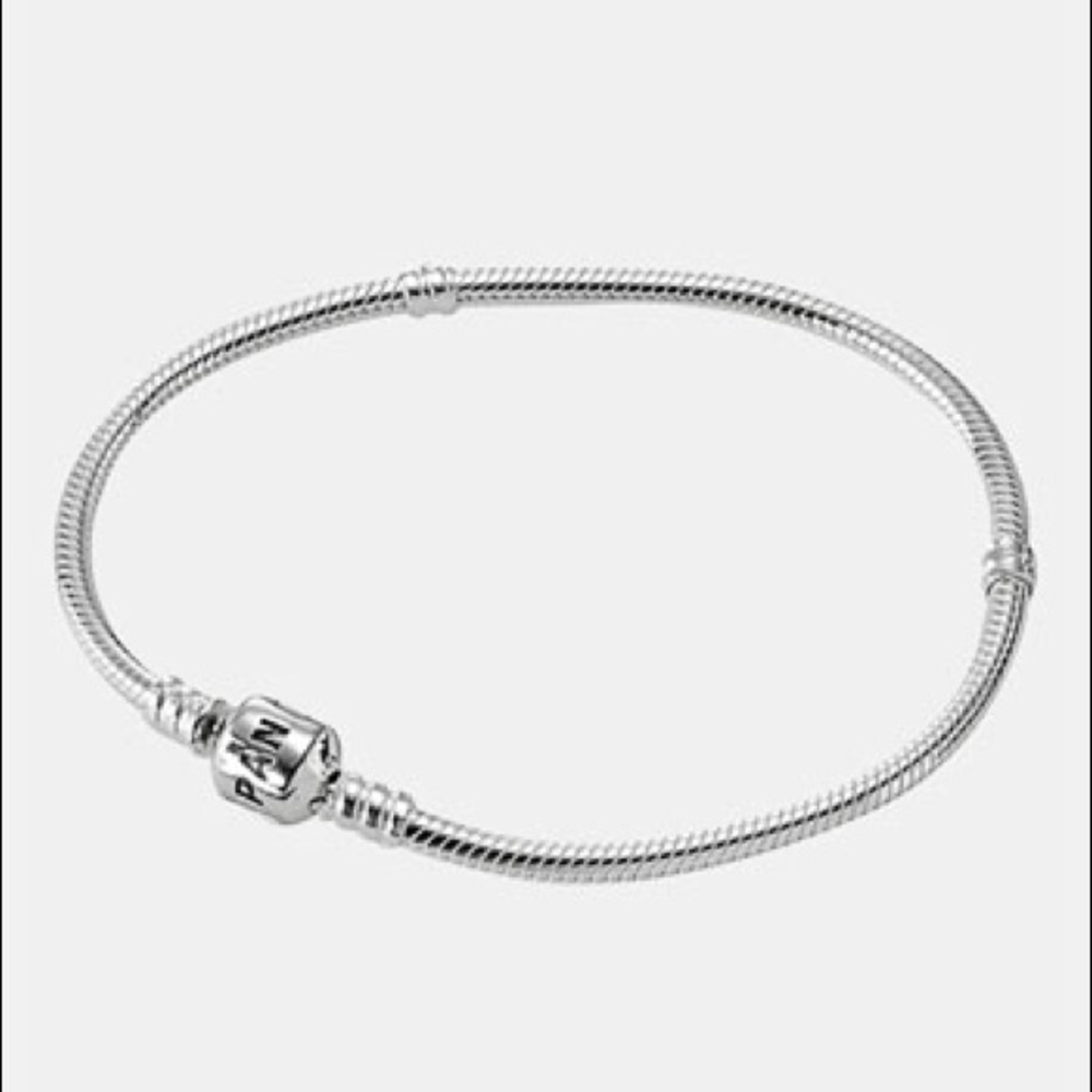 Pandora sterling silver charm bracelet
