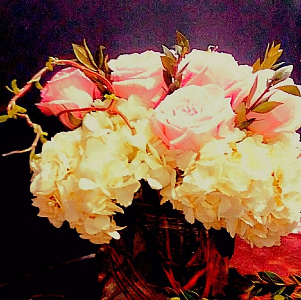 Meet your Posher, Denise