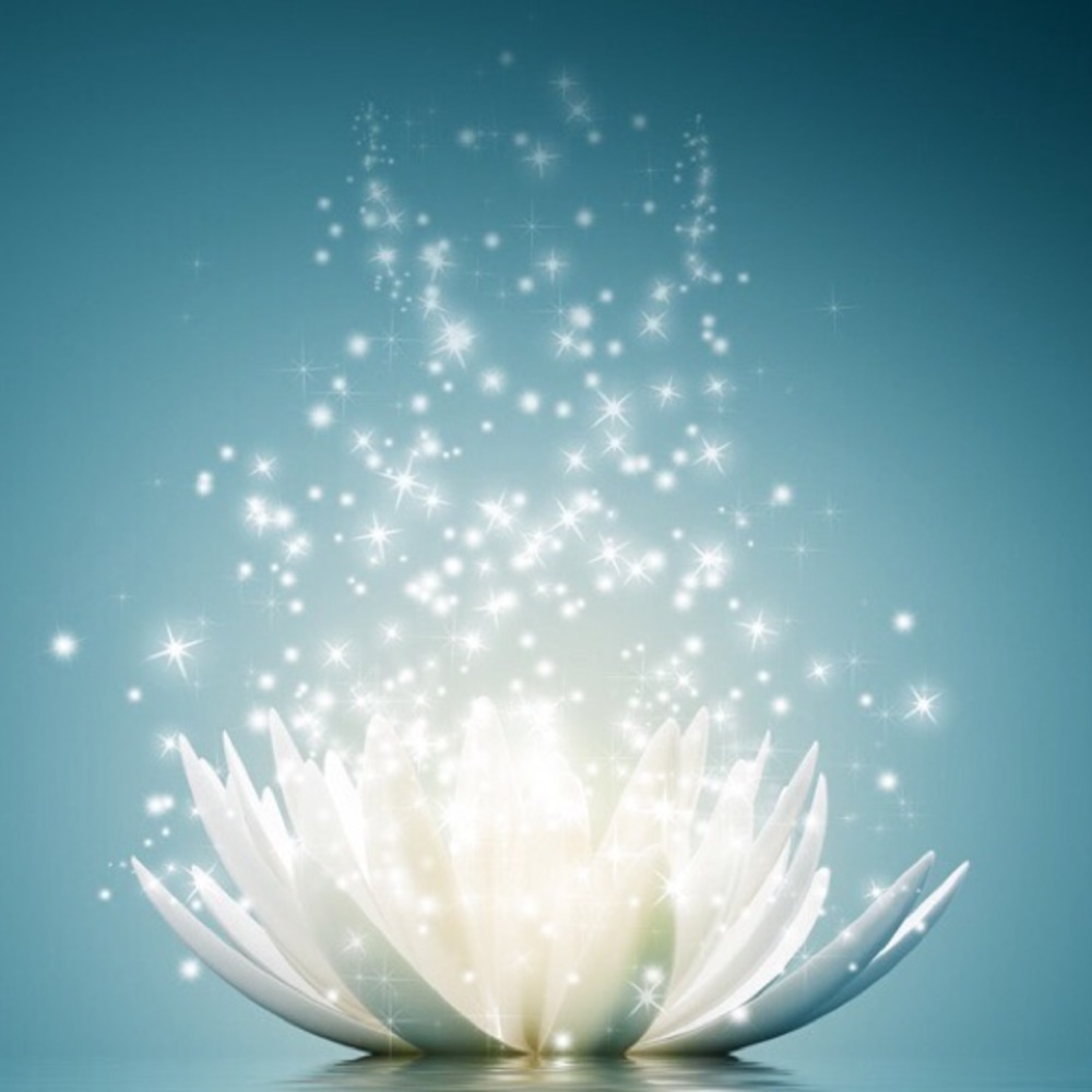 Meet your Posher, Nadine