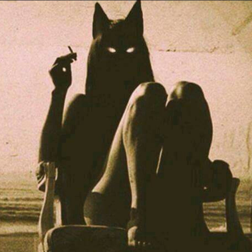 Meet your Posher, Mel