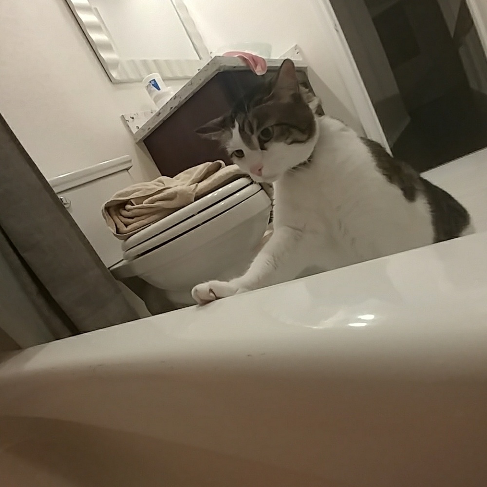 Bathtub monster