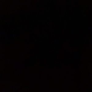 Meet your Posher, Wade