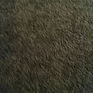 Meet your Posher, Sandy