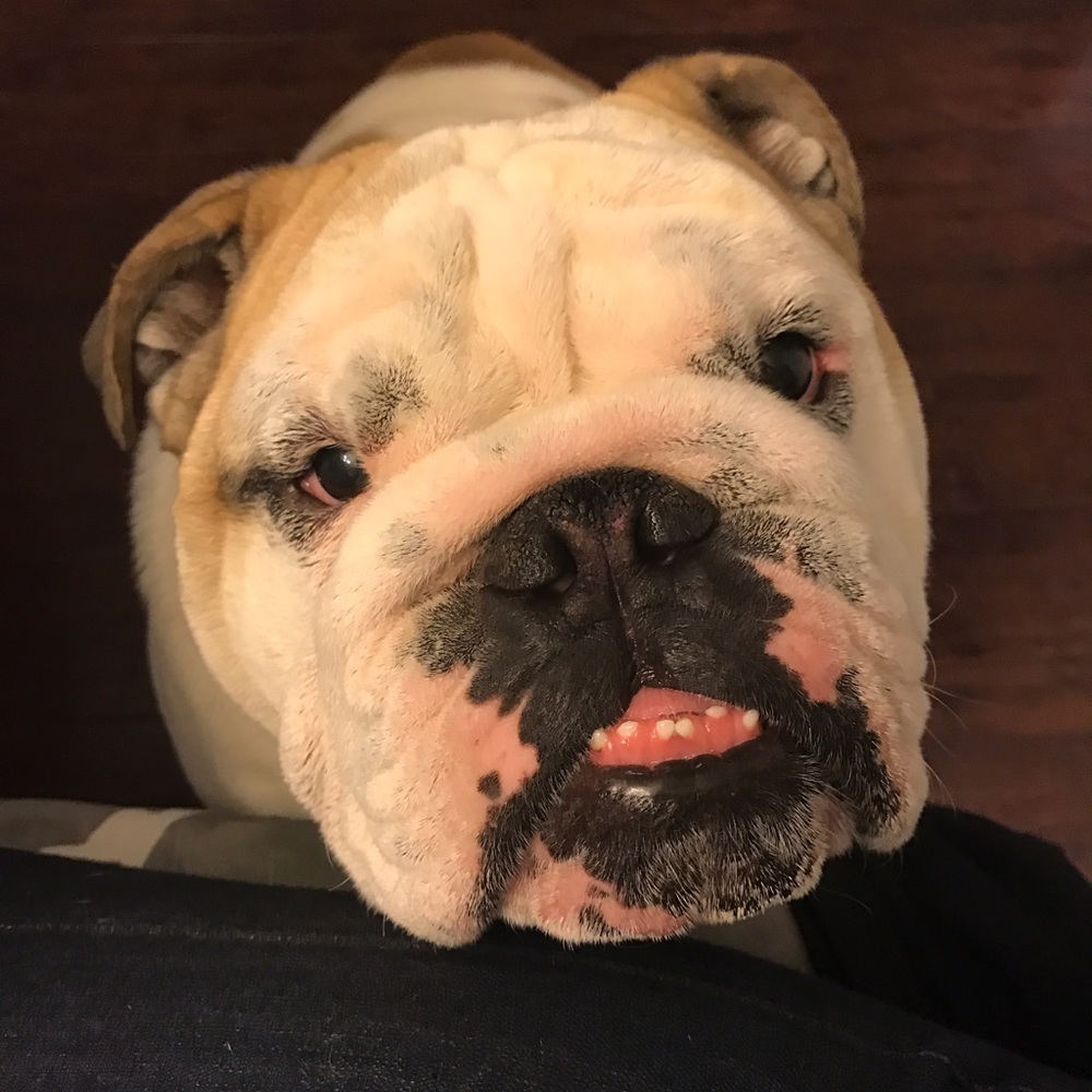 Meet your Posher, Kristi