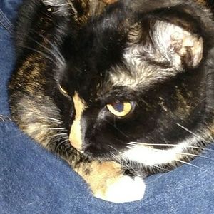 Meet your Posher, Zane