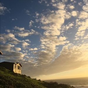 Meet your Posher, Jenny