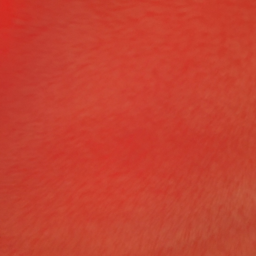 Meet your Posher, Ava