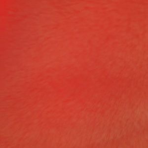 Meet your Posher, Ava