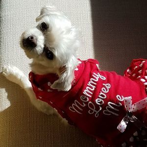 Meet your Posher, Jo