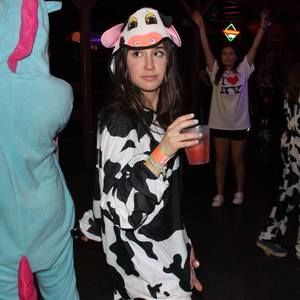 Meet your Posher, Ali