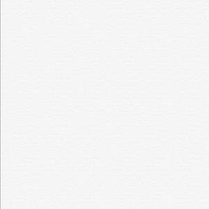 Meet your Posher, Jesus