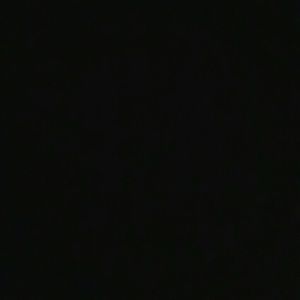 Meet your Posher, Bibi