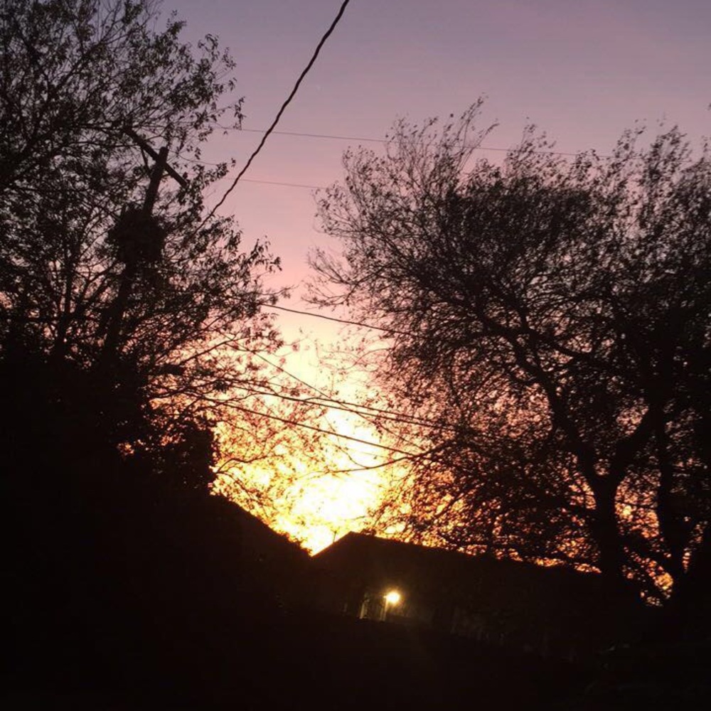 Meet your Posher, Isabelle