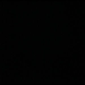 Meet your Posher, Raquel