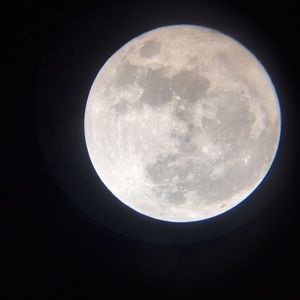 Meet your Posher, Safi