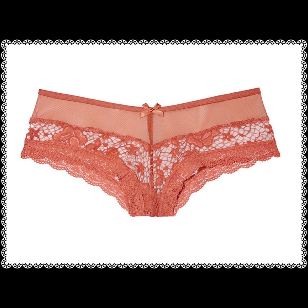 ❤Victoria's Secret Floral Lace & Mesh Cheeky Panty - Picture 2 of 2