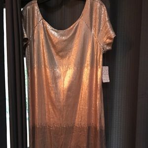 Free people ombre  dress size large