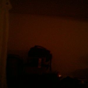 Meet your Posher, Carmella