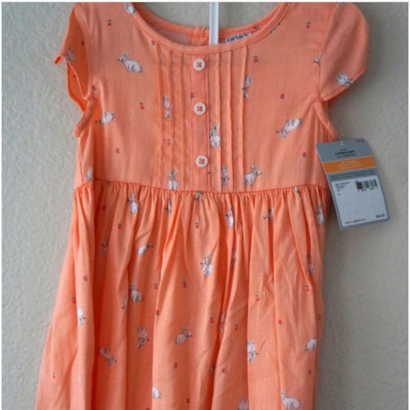 carters bunny dress