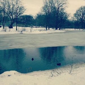 Meet your Posher, Tan