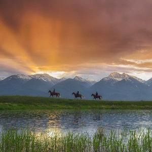 Meet your Posher, Sonia