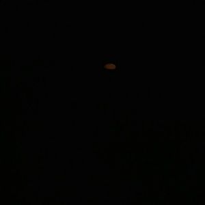 Meet your Posher, Priscilla