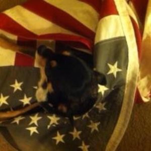 Meet your Posher, Asako