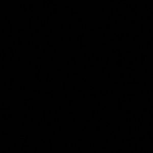 Meet your Posher, Dennis