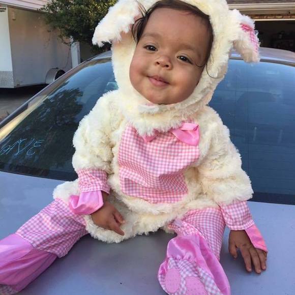 Meet your Posher, Allen - Picture 1 of 1