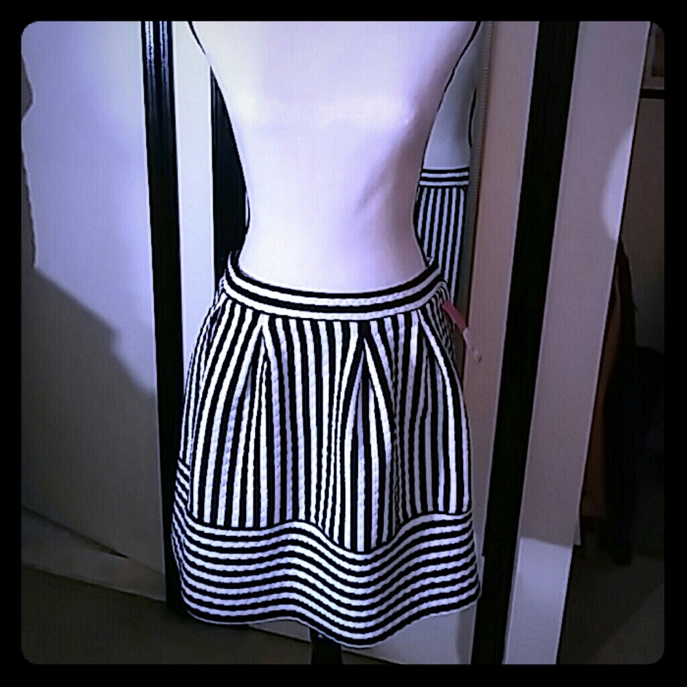 Skirt (black & white stripe)