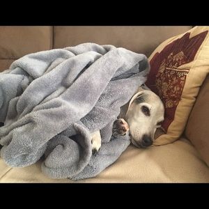 Meet your Posher, Mandy