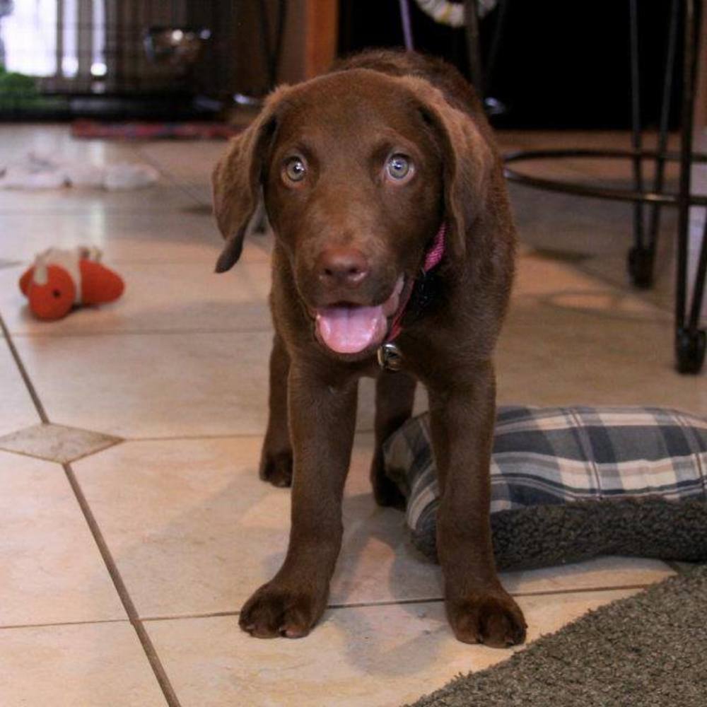 Meet your Posher, Ash