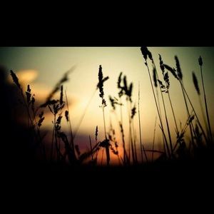 Meet your Posher, Caitlyn