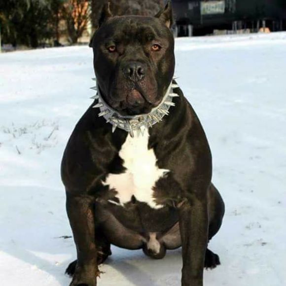 Meet your Posher, Eric - Picture 1 of 1