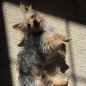 Meet your Posher, Julia