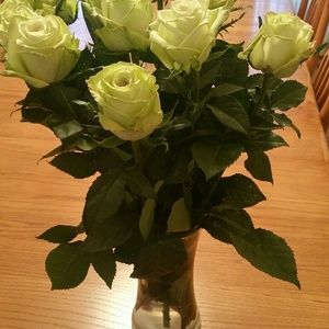 Meet your Posher, Maxine