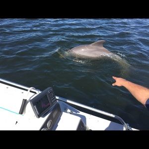 Meet your Posher, Dawn