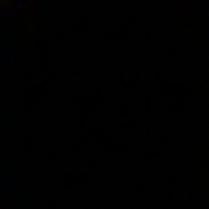 Meet your Posher, Sylvia