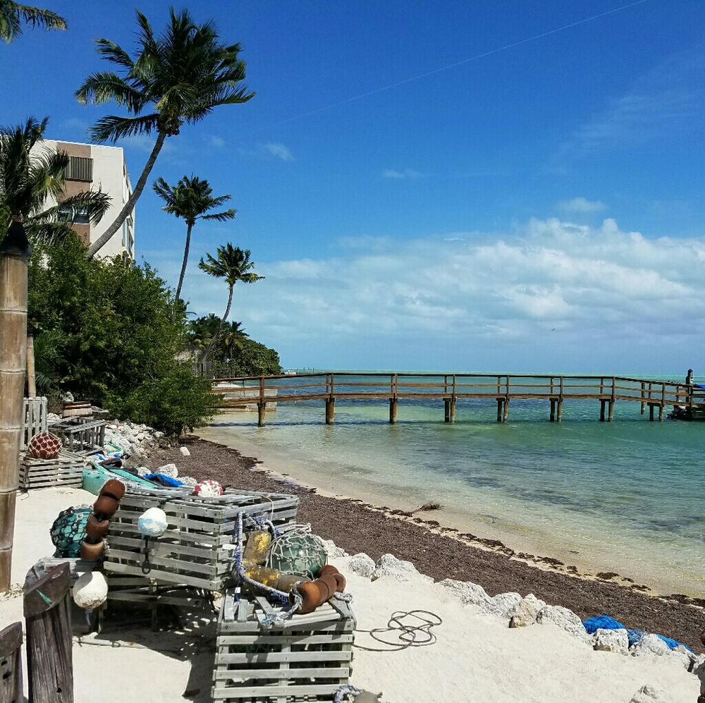 Meet your Posher, Shauna