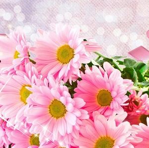 Meet your Posher, Nora